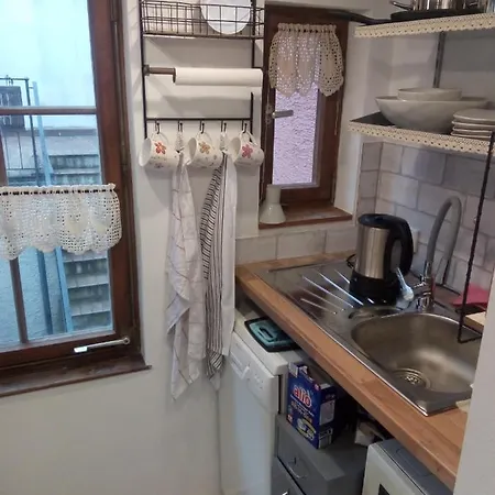 See- Und Altstadthaeusle - Alles Direkt Vor Der Haustuer - Bodenseeufer Natur Altstadt Bahnhof Bora-sauna - Klein Und Super Zentral Zum See Oepnv Stadt Natur Etc - Historica Apartament Radolfzell am Bodensee