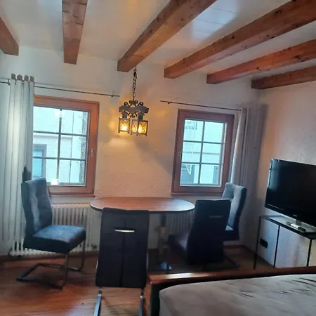 See- Und Altstadthaeusle - Alles Direkt Vor Der Haustuer - Bodenseeufer Natur Altstadt Bahnhof Bora-sauna - Klein Und Super Zentral Zum See Oepnv Stadt Natur Etc - Historica Lejlighed Radolfzell am Bodensee